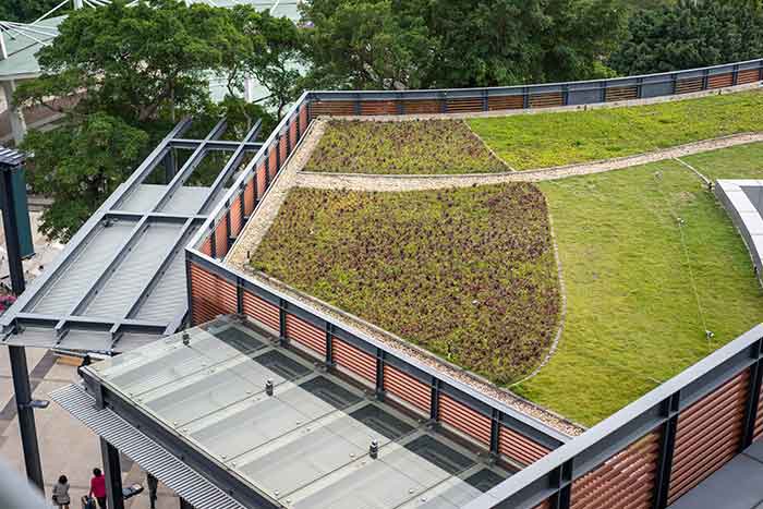 Green Roofs