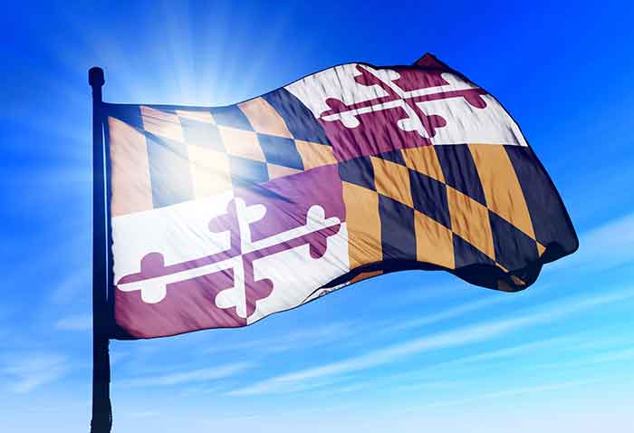 Maryland Flag