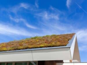 Improved air quality is a benefit of green roofs in maryland 