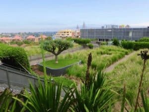 Weather protection is a bonus of having a green roof in maryland